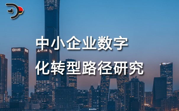 chat中小企業(yè)數(shù)字化轉(zhuǎn)型路徑研究.jpg